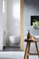 Vorschau: Duravit DuraSystem Betätigungsplatte aus Kunststoff mechanisch für WC A1