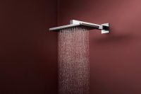 Vorschau: hansgrohe Raindance Alive Q Duschkopf 210/340 2 Strahlarten mit Brausearm, chrom