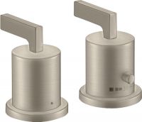 brushed nickel