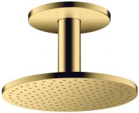 polished gold-optic
