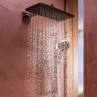 Vorschau: hansgrohe Raindance Alive Q Duschkopf 210/340 2 Strahlarten mit Brausearm chrom 24550000