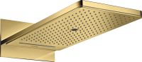 polished gold-optic