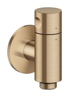 brushed bronze