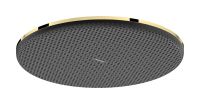 hansgrohe Raindance Alive S Duschkopf 300 1 Strahlart polished gold optic 24521990 hansgrohe Raindance Alive S Duschkopf 300 1 Strahlart polished gold optic 24521990