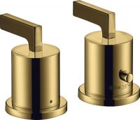 polished gold-optic