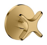 polished gold-optic
