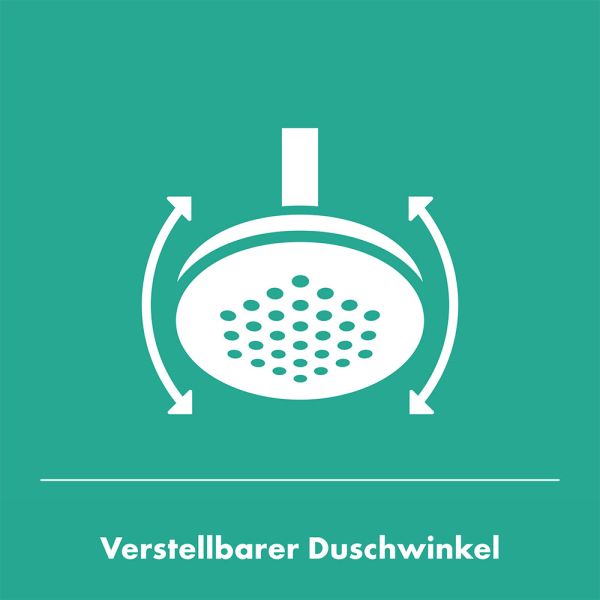 Hansgrohe Pulsify S Kopfbrause 260 EcoSmart, 1jet, ohne Brausearm, brushed bronze