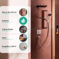Vorschau: hansgrohe Raindance Alive Select S Duschset 3 Strahlarten, Duschstange 65cm, polished gold optic