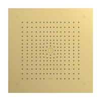 hansgrohe Raindance E Duschkopf 40x40cm Deckenintegriert, polished gold optic 26253990 hansgrohe Raindance E Duschkopf 40x40cm Deckenintegriert, polished gold optic 26253990