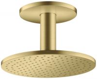 brushed brass