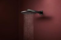 Vorschau: hansgrohe Raindance Alive S Duschkopf 300 1 Strahlart wassersparend, brushed black chrome