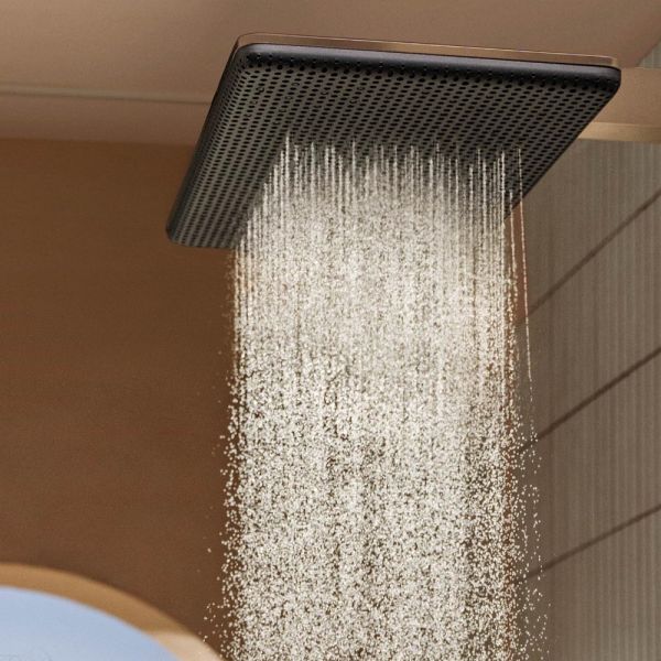 hansgrohe Raindance Alive Q Duschkopf 210/340 2 Strahlarten mit Brausearm, brushed bronze