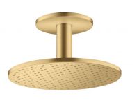 brushed gold-optic