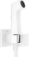 hansgrohe Bidetbrause E für Warmwasser weiß matt 29233700