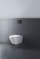 Vorschau: Duravit DuraSystem Betätigungsplatte aus Kunststoff mechanisch für WC A1