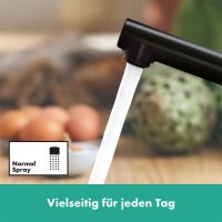 Vorschau: Hansgrohe Zesis M33 Küchenarmatur 150 Niederdruck, schwarz matt 74806670