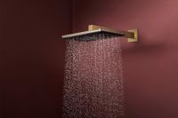 Vorschau: hansgrohe Raindance Alive Q Duschkopf 210/340 2 Strahlarten brushed bronze 24550140