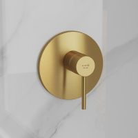 brushed gold