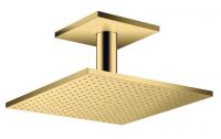 polished gold-optic
