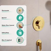 Vorschau: hansgrohe Ecostat Comfort S Thermostat, 2 Funktionen mit Sicherungskombination, polished gold optic