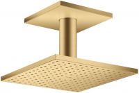 brushed gold-optic