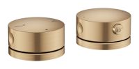 brushed bronze