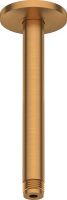 Vorschau: Duravit Deckenanschluss 20cm für Kopfbrause, rund, bronze gebürstet UV0670025004 