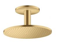 brushed gold-optic