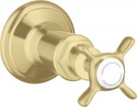 brushed gold-optic