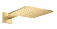 brushed gold-optic