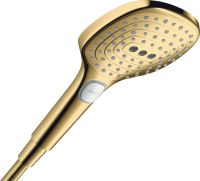 hansgrohe Raindance Select E Handbrause 120 PowderRain polished gold optic 28728990