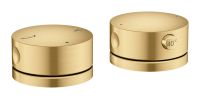 brushed gold-optic