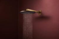 Vorschau: hansgrohe Raindance Alive S Duschkopf 300 1 Strahlart wassersparend, brushed bronze