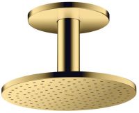 polished gold-optic