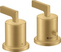 brushed gold-optic