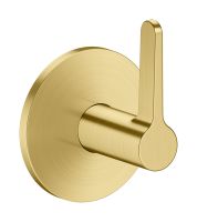 brushed brass