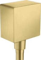 brushed brass