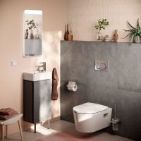 Vorschau: hansgrohe iFrame Original S Betätigungsplatte, rund, für 2-Mengen-Spülung Vorschau: hansgrohe iFrame Original S Betätigungsplatte, rund, für 2-Mengen-Spülung