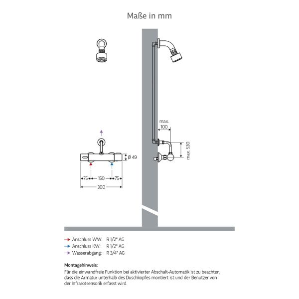 WimTec ECOSAN Wandanschlussbogen 500mm, chrom
