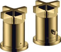 polished gold-optic