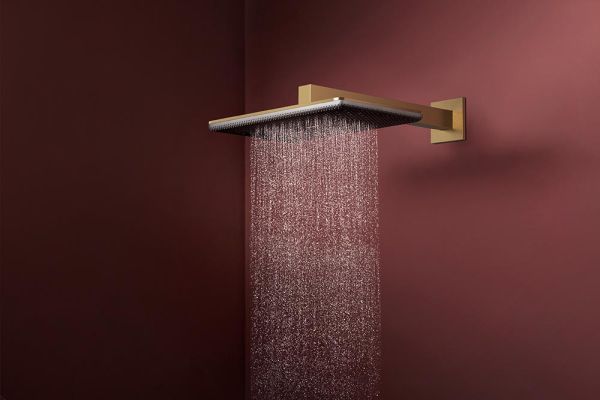hansgrohe Raindance Alive Q Duschkopf 210/340 2 Strahlarten mit Brausearm, brushed bronze