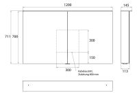 Vorschau: emco flat 2 LED-Spiegelschrank 120cm mit Waschtischbeleuchtung, 2 Türen