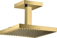 polished gold-optic