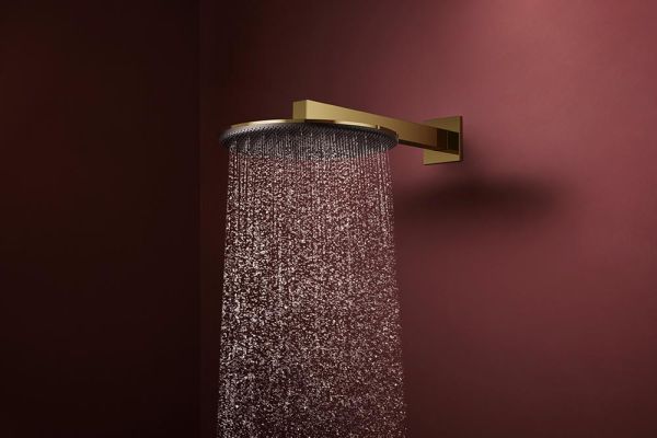 hansgrohe Raindance Alive S Duschkopf 300 polished gold optic 24520990 