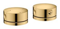polished gold-optic