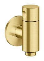 brushed brass