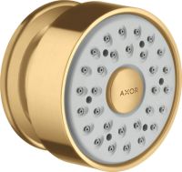brushed gold-optic
