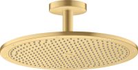 brushed gold-optic