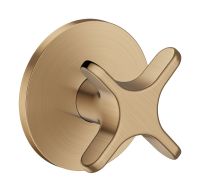 brushed bronze