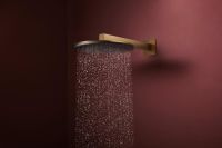 Vorschau: hansgrohe Raindance Alive S Duschkopf 300 1 Strahlart wassersparend brushed bronze 24521140